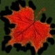 leaf4